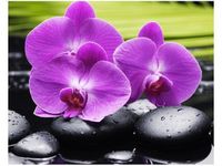 40X50CM KAMIENIE STORCZYKI OBRAZ