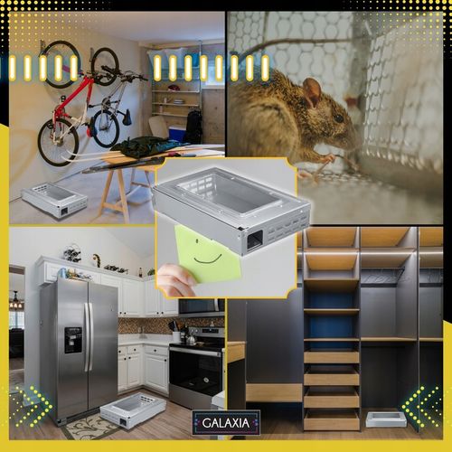 ŻYWOŁAPKA NA MYSZY Pułapka Łapka Na Szczury Pułapki Łapki HUMANITARNA na Arena.pl