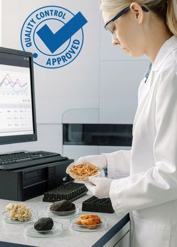 KAWA Z GRZYBÓW 9 w 1 Lions Mane Cordyceps Chaga Reishi MCT Błonnik na Arena.pl