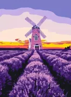 Malowanie po numerach. Wiatrak i lawenda, 30x40 cm