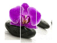 90 80CM OBRAZ T3 ELEM STORCZYK KAMIENIU DRUK ŚCIENNY