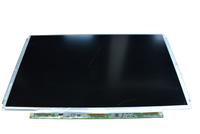 AU OPTRONICS B133XW01 V.1