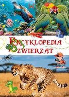Encyklopedia zwierząt książka DLA DZIECI świat przyrody