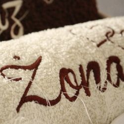 BLUZA DAMSKA zapinana Z HAFTEM koło gospodyń wiejskich + twój tekst KGW na Arena.pl