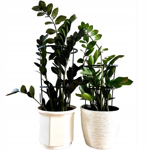 Podpórki do roślin kwiatów podpora pierścieniowa podpórka RINGS S33cm 16/18 na Arena.pl