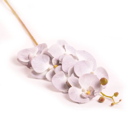 STORCZYK POJEDYNCZY szary na Arena.pl