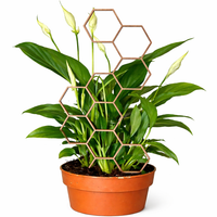 Podpora do roślin „Plaster Miodu” – dekoracyjna kratka do doniczki