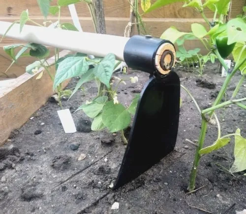 Motyka kuta leśna na Arena.pl