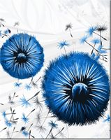 product-compare-58645647