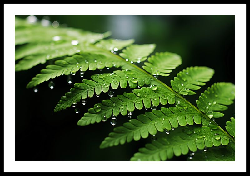 Plakat 60x40cm Szepty Natury zdjęcie 3