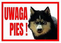 UWAGA PIES ! HUSKY - Tabliczka ostrzegawcza