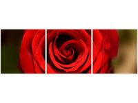 product-compare-58645998