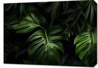 Obraz 70x50cm Zielony Szept