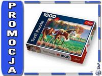 TREFL 10298 MROŹNY PORANEK Puzzle 1000el