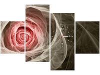 product-compare-58611646