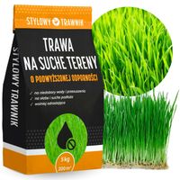 TRAWA NASIONA Na tereny suche Odporna Samozageszczająca Trawnik 5kg