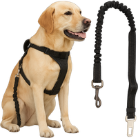 PASY DLA PSA SMYCZ ROZCIĄGLIWE MOCNE DO SAMOCHODU