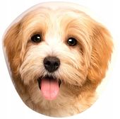 Poduszka dziecięca Mikrofibra 40x40 Greno pies