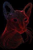 Plakat 61x91,5cm Cyfrowa Kocica