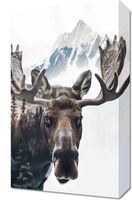 product-compare-59491851