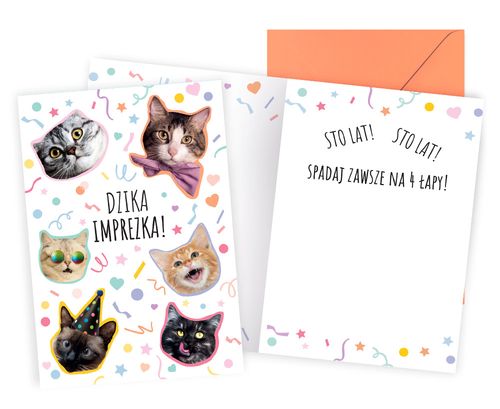 karnet Urodziny (dzika imprezka, koty) PP-2273 na Arena.pl