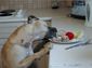 thumbnail-6