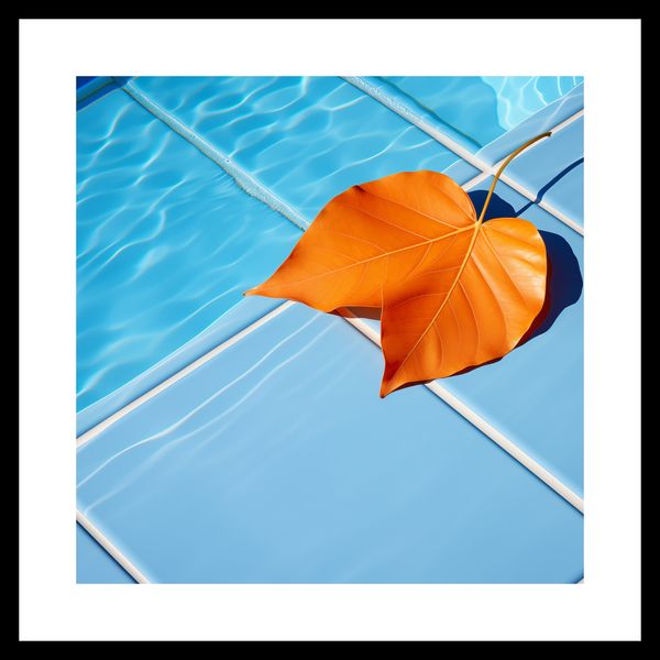 Plakat 40x40cm Liść przy Wodzie zdjęcie 3