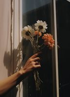 product-compare-59366752