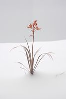 product-compare-59356726