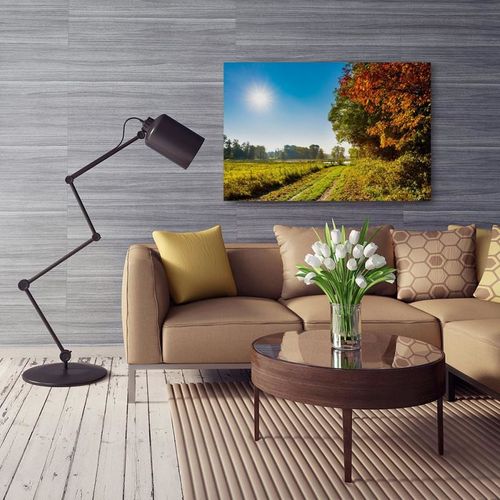 Obraz na płótnie - Canvas, Polna droga 100x70 na Arena.pl