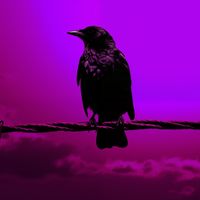 product-compare-59372635