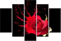 product-compare-58695876