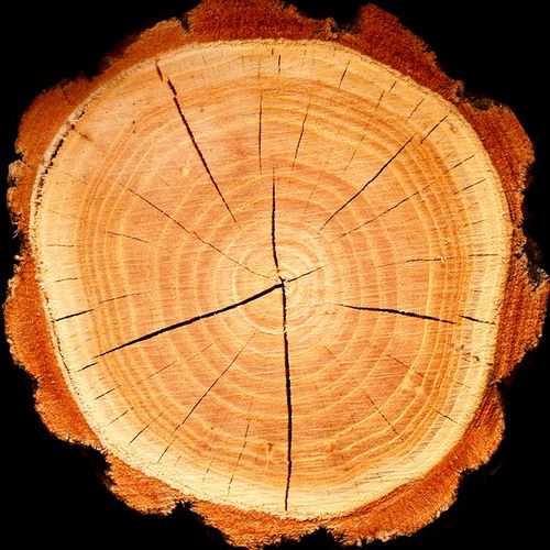 Yodeyma Boreal Woda Perfumowana Dla Kobiet 50ml na Arena.pl