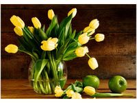 100 70CM OBRAZ PŁÓTNO ŻÓŁTE TULIPANY PŁÓTNO RAMA