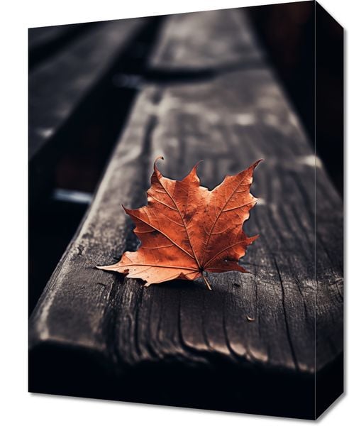 Obraz 30x40cm Pojedynczy Liść zdjęcie 1
