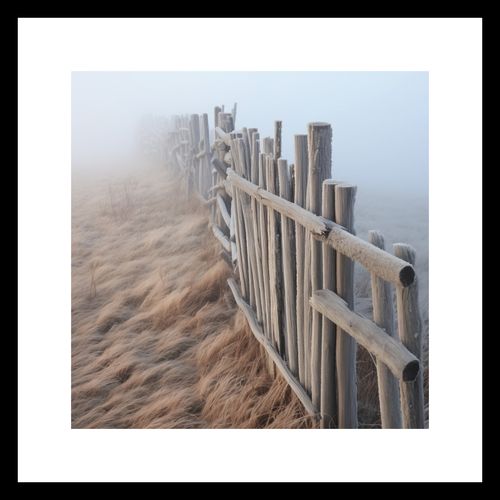 Plakat 20x20cm Mgła nad Wydmami na Arena.pl