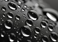 Plakat 55x40cm Mikrokosmos Kropelek