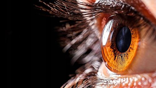 Kabel Interlook HD2.1V 8K 3M HDMI - HDMI 3 m na Arena.pl