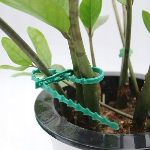 TG56594 OPASKI ZACISKOWE SPINKI OGRODNICZE TRYTYTKI DO ROŚLIN KLIPSY wielor na Arena.pl