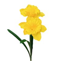 product-compare-61191421