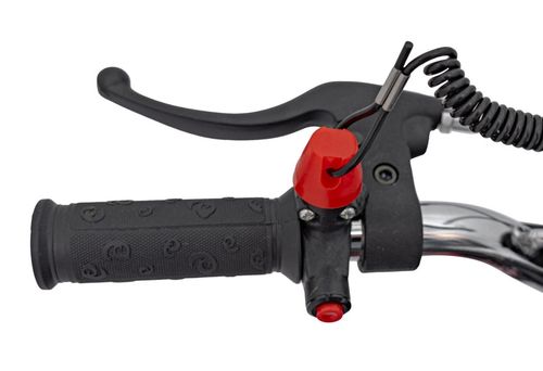 Pojazd Motor Spalinowy RENEGADE 50R Zielony na Arena.pl