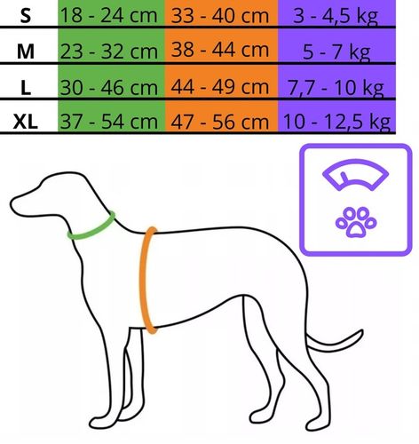 SZELKI BEZUCISKOWE TYPU GUARD + SMYCZ dla KOTA PSA na Arena.pl