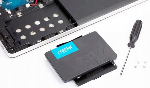 Dysk CRUCIAL BX500 240GB SSD na Arena.pl