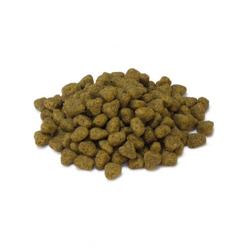 Arquivet Sucha karma dla kotów sterylizowanych z indykiem 1,5 kg na Arena.pl