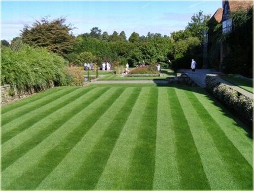 Nawóz do trawy SZYBKI EFEKT 10 kg Florovit na Arena.pl