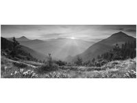 product-compare-58645120