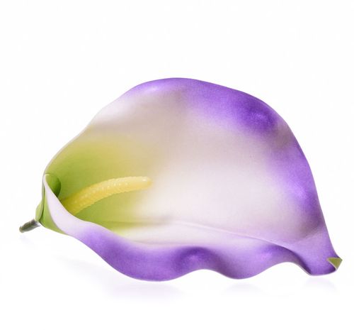 Kalia główka fiolet na Arena.pl