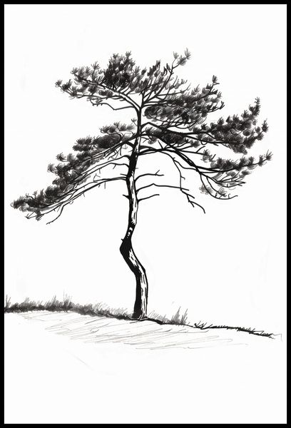 Plakat 68x101cm Samotna Sosna zdjęcie 2