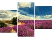 product-compare-58699725