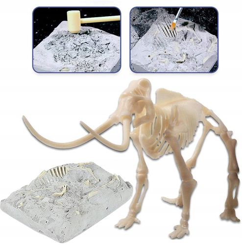 CLE Naukowa zabawa Skamienialosci Mamut 50859 na Arena.pl